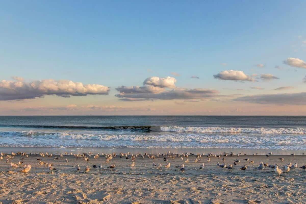 *Oceanfront Sunny Fun*Queen Beds *Great Pools, Hot Tubs+*M44 Myrtle Beach Exterior photo